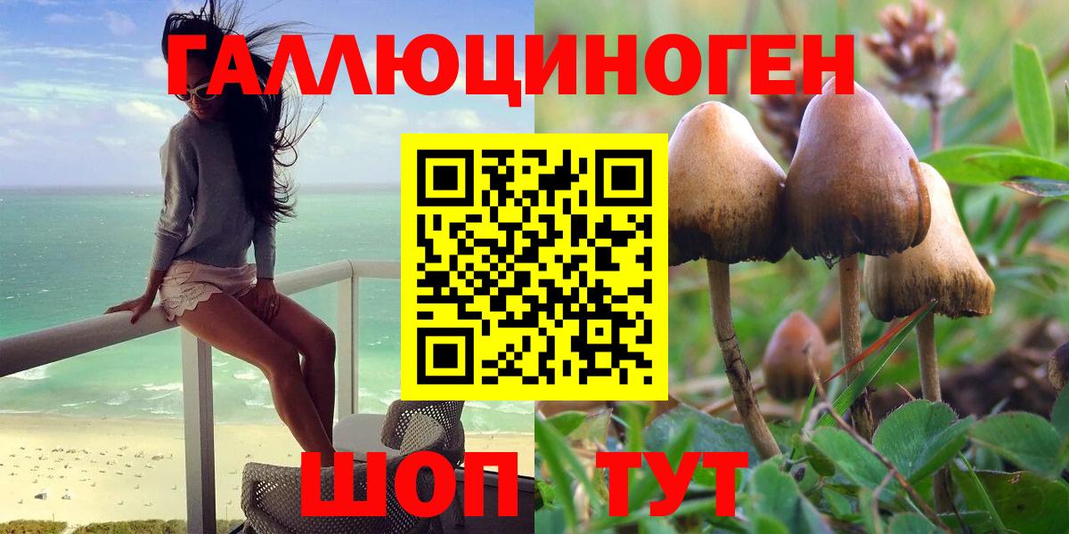 Галлюциногенные грибы Psilocybe Искитим