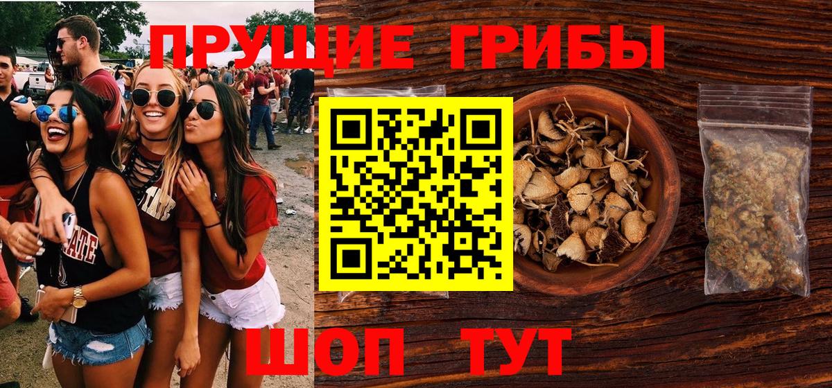 Галлюциногенные грибы Cubensis  Вход с VPN  Псилоцибиновые грибы мицелий  Искитим 